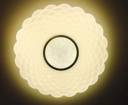 Lampara LED decorativa 24W MOD1