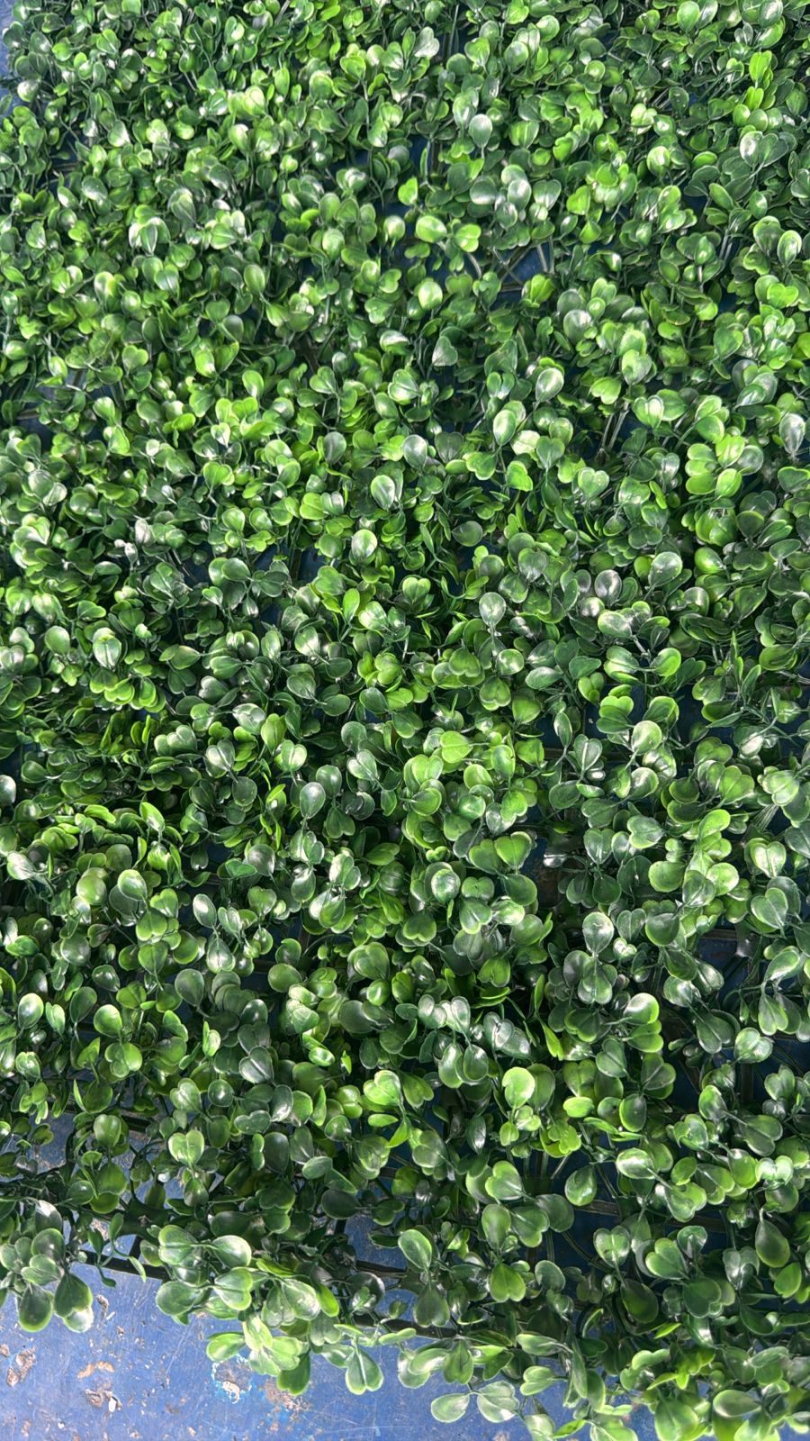 Jardines Artificiales  Nature wall