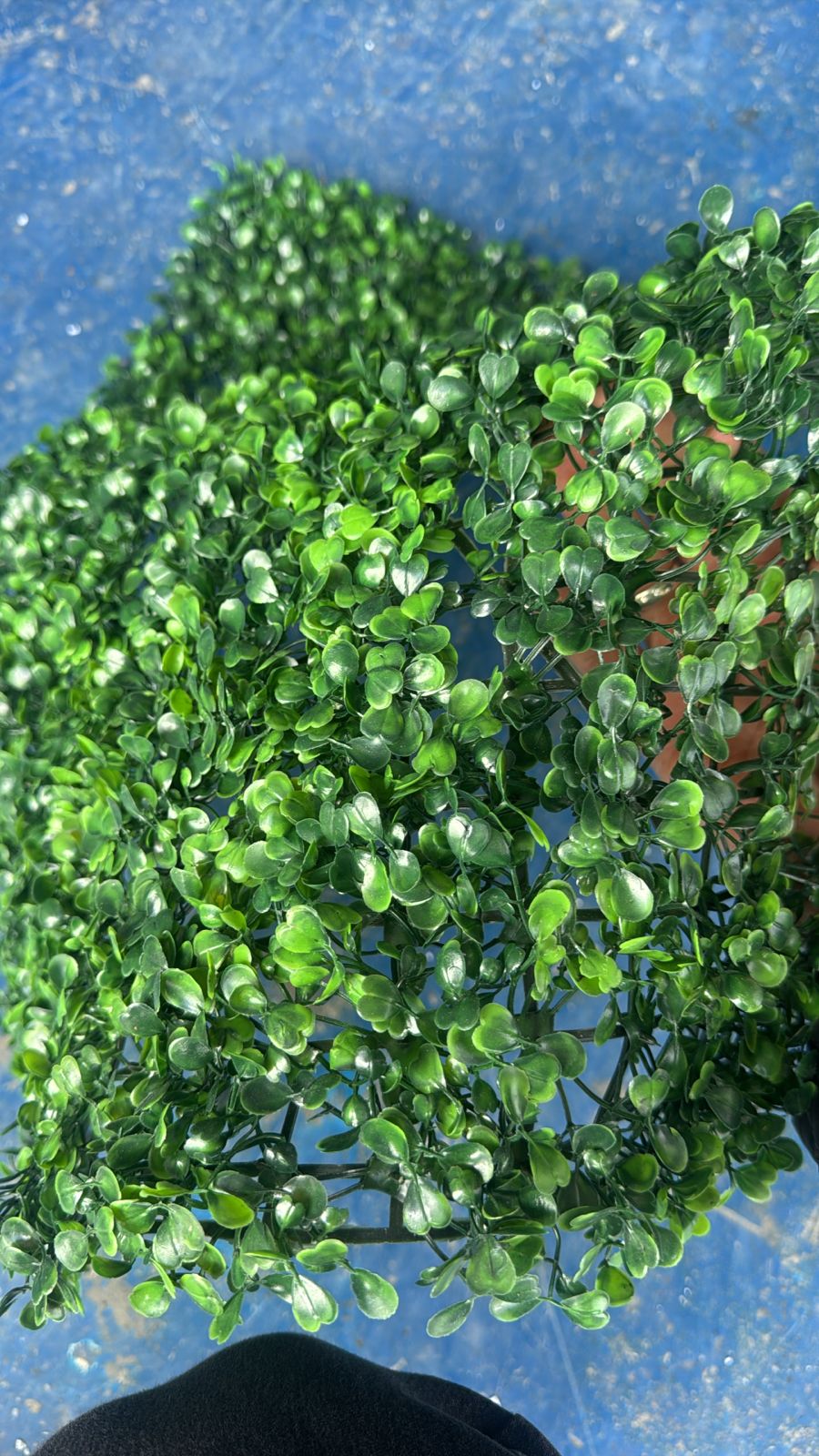 Jardines Artificiales  Nature wall